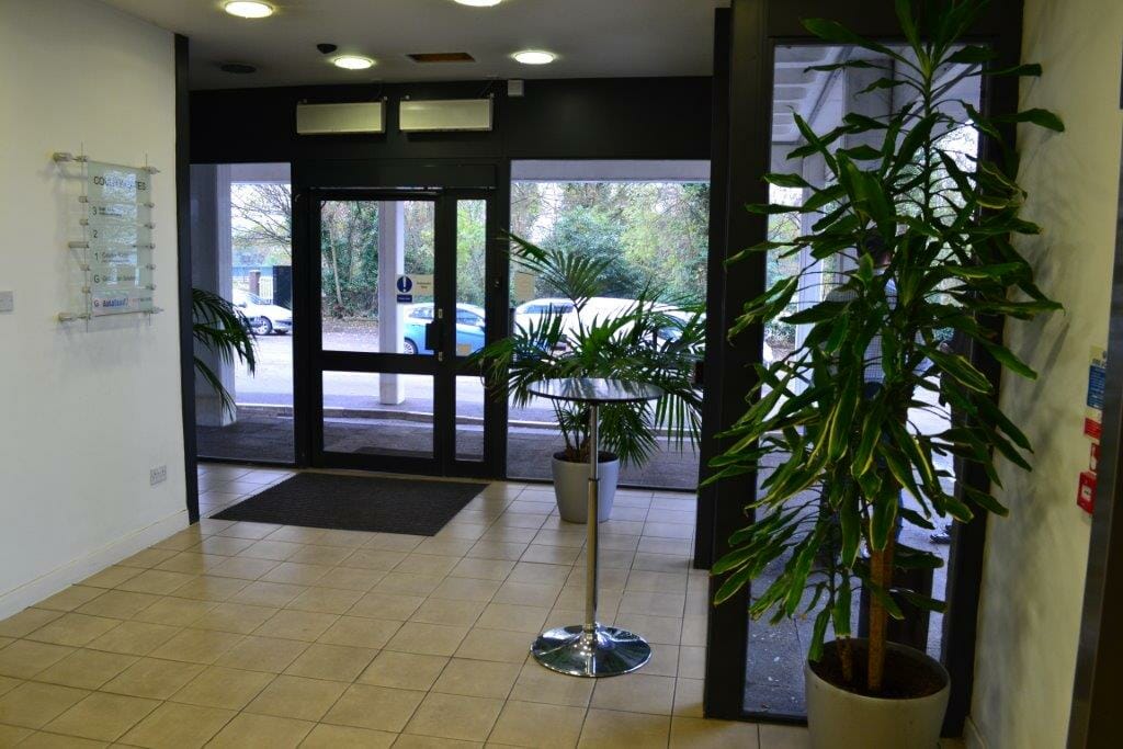 Automatic Doors for Business